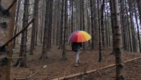 young female walks in dark and moody forest with colourful umbrella on rainy day