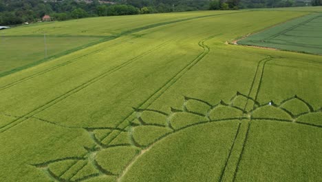 crop circle formation over vast corn field landscape near potterne in england