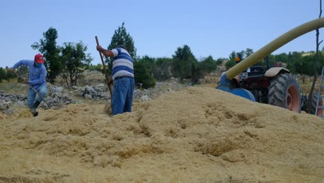 pulverizador de heno para agricultores adultos