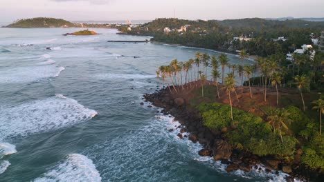 Sri-Lanka-aerial,-flying-above-coconut-trees