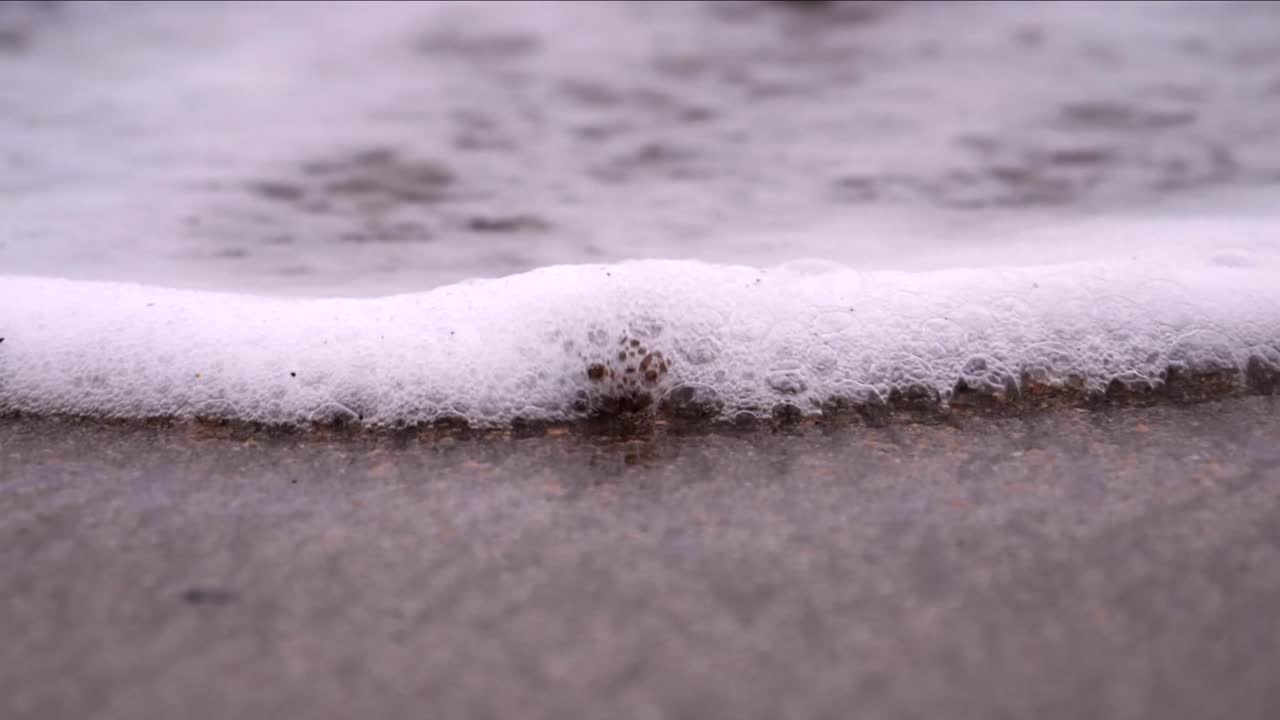 조개가 해변의 파도에 삼켜지다