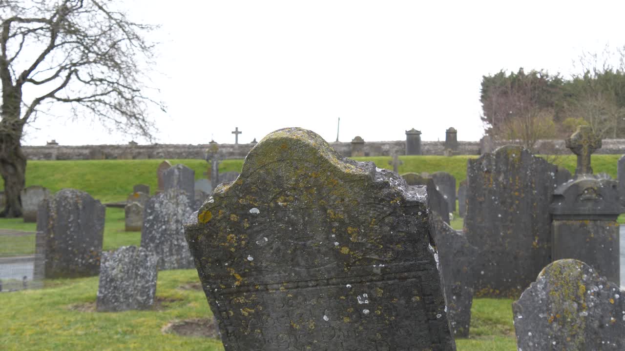 плесень и мох на надгробии на заброшенном кладбище в графстве килкенни, ирландия