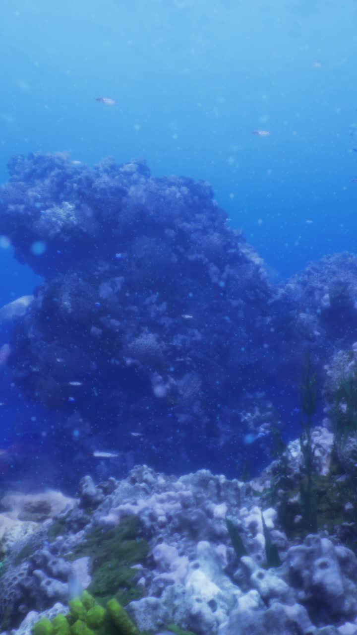 Colorful corals and various fish thrive in a vibrant underwater ecosystem