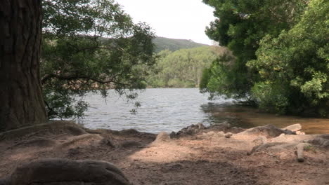 Lagoon-surrounded-by-hills-and-green-pine-forest