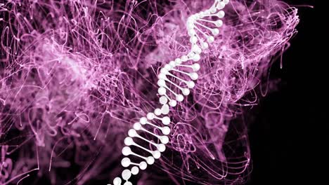 Animation-of-dna-chain-and-purple-lines-on-black-background