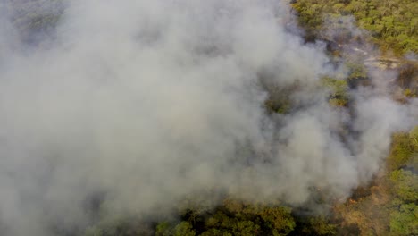 el humo se eleva de un incendio que quema los bosques del pantanal brasileño - vista aérea