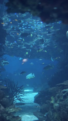 vibrant underwater aquarium scene with abundant fish and coral