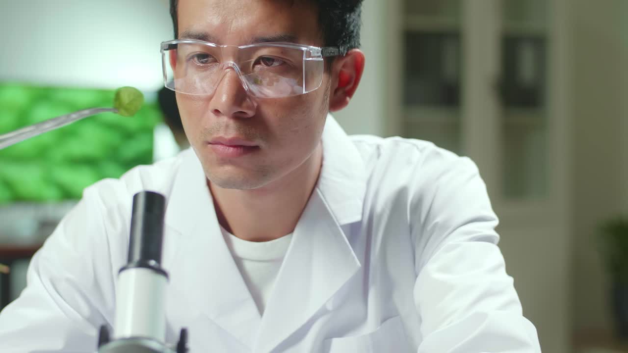 Asian Botanist Taking Leaf Sample From Petri Dish Discovering Biological Genetic Mutation For Pharmaceutical Experiment. Scientist Chemist Working In Biochemistry Lab Analyzing Organic Agriculture