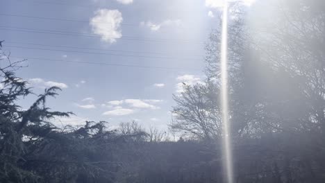 bright summer day with black birds flying across the bright sky with trees on the side and strong sun