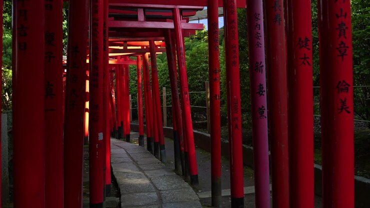 Splendida camminata in super slow motion attraverso i tradizionali cancelli torii rossi in Giappone.
