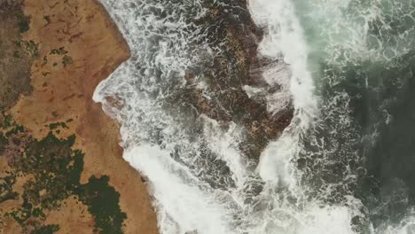 beach and rock textures from around sydney australia