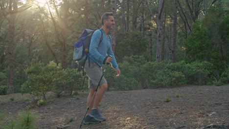 male hiker walking in forest