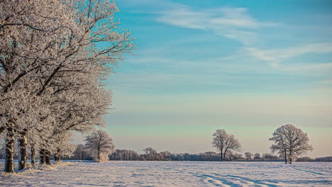 campos de agricultura cubiertos de nieve y árboles con cielo azul, lapso de tiempo de fusión