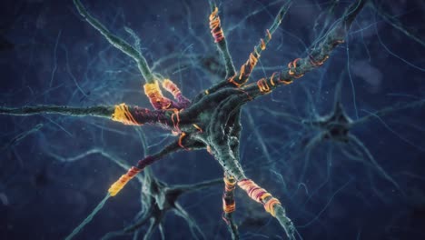 Neuronen-Animation-|-Gehirnzellen-|-Stimmungsschwankungen-Basierend-Auf-Der-Bewegung-Von-Neuronen