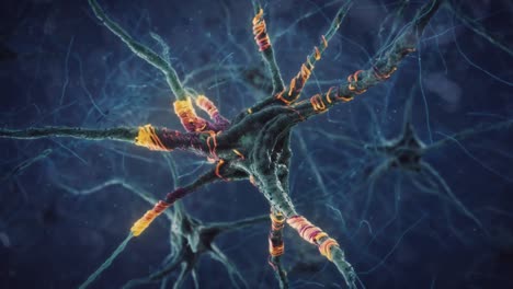 animacion de neuronas | células cerebrales | cambios de humor basados en el movimiento de las neuronas