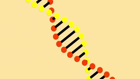 Animation-of-a-digital-3d-red,-yellow-and-black-double-helix-DNA