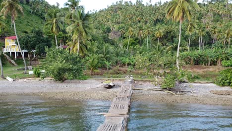 drone-video-moving-backwards-showing-the-beautiful-island-of-Samana-where-animals-and-a-dock-for-boat-arrivals-can-be-seen