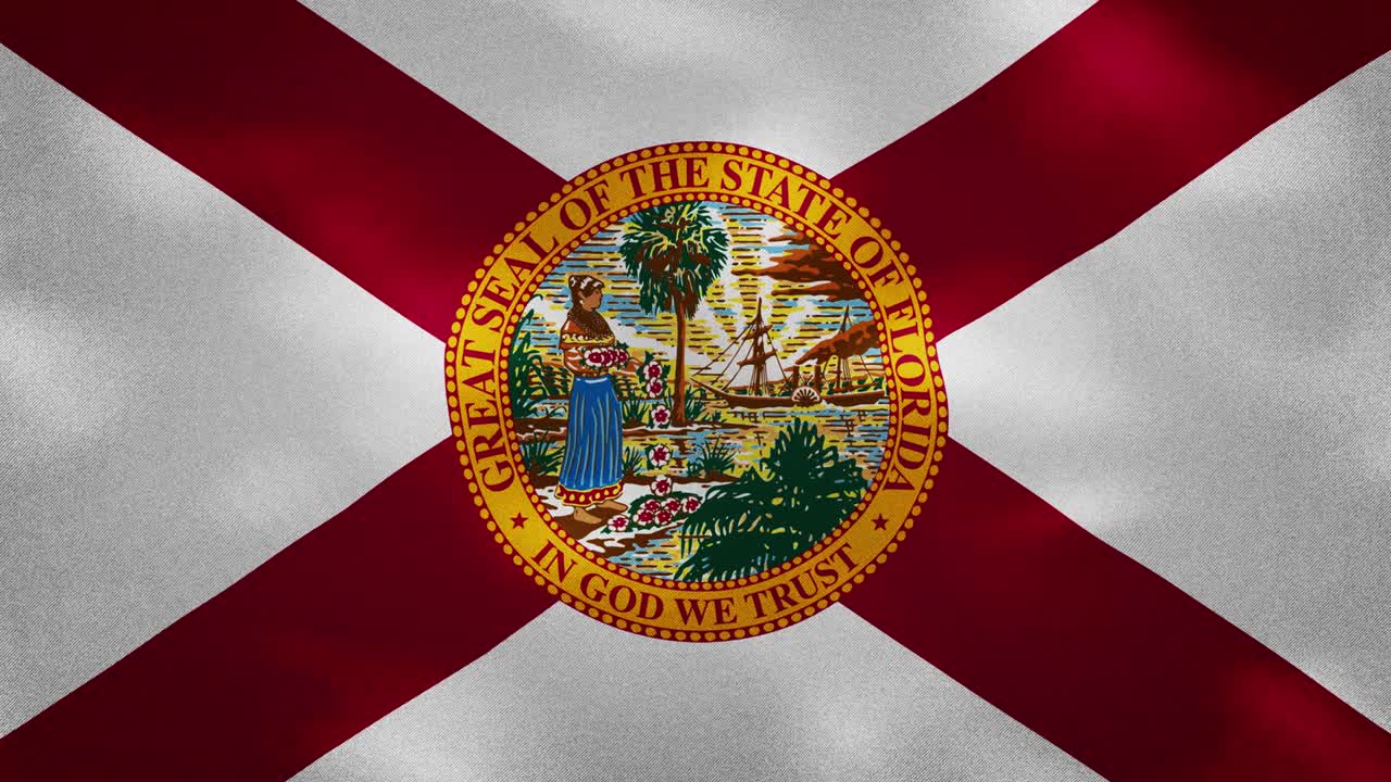 플로리다의 밀집된 발 직물 파동, 배경 루프