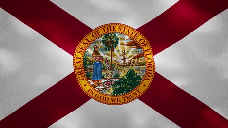 la densa tela de la bandera de florida se agita, el bucle de fondo