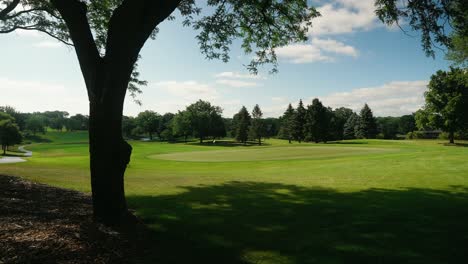 Push-in-Schuss-Vorbei-An-Einem-Baum-Eines-Golf-Greens-In-Einem-Country-Club