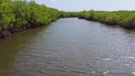 Drone-flying-over-river-crossing-mangrove-forest-in-El-Morro-National-park,-Montecristi,-Dominican-Republic