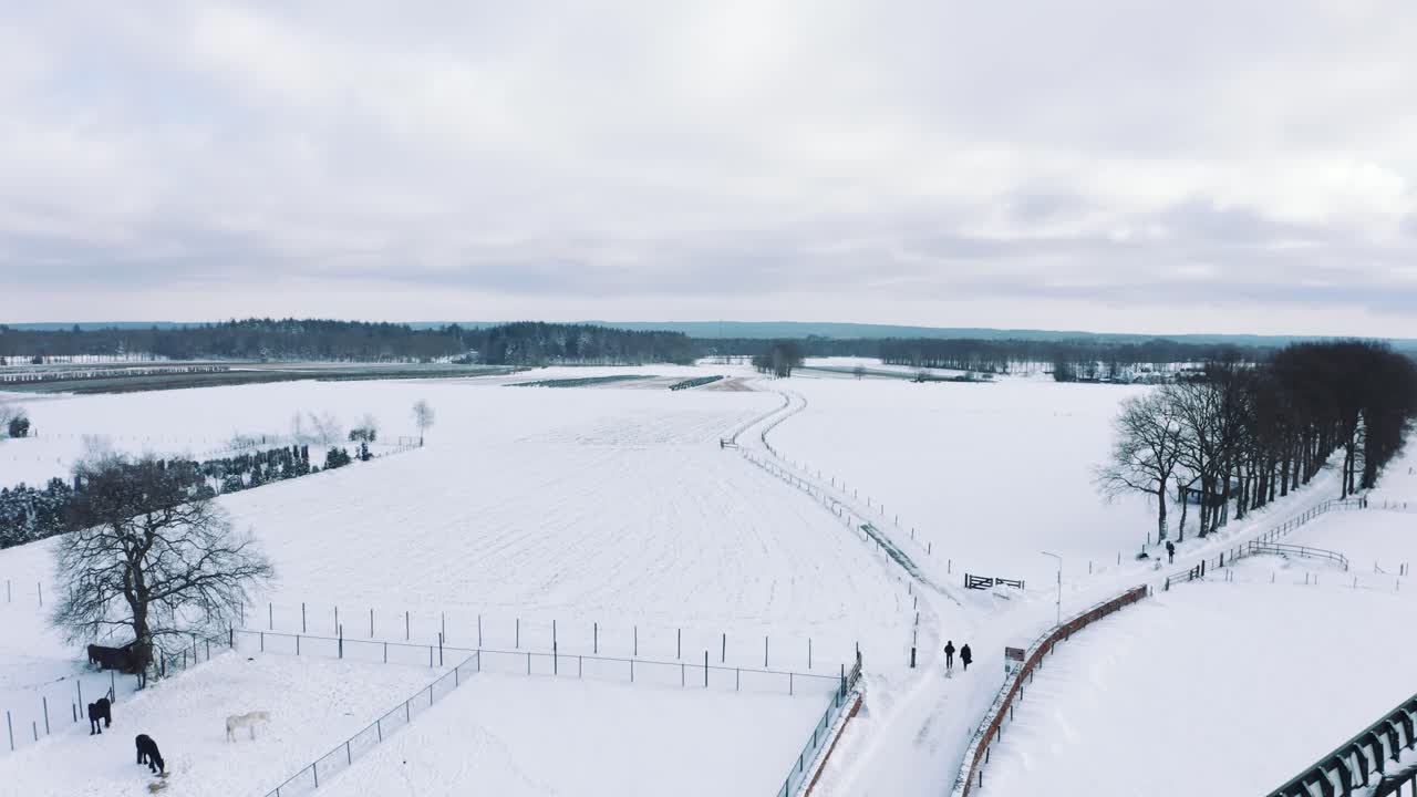 공중 전망, 시골 네덜란드, 눈 덮인 풍차와 추운 겨울날의 농경지, 드론 샷