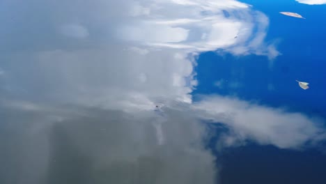 water reflection of blue sky and white clouds, reflective surface