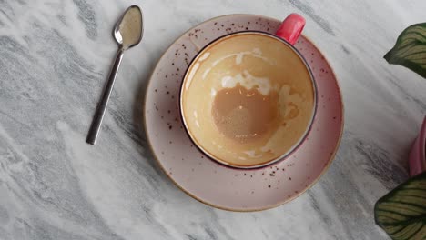 empty coffee cup on marble table