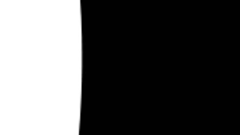 2029 animación de texto gráficos de movimiento