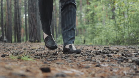 businessman in suit and shoes walks across pine forest