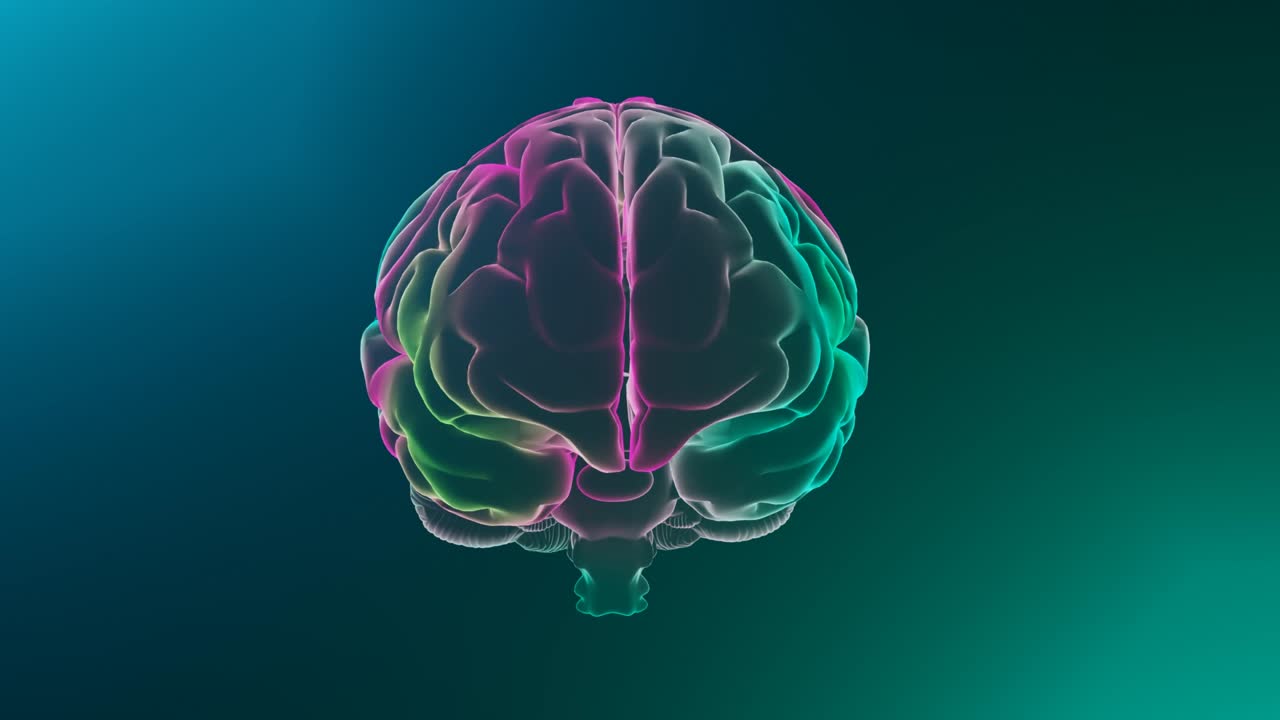 Human brain hologram. Transparent 3D model of human organ on black background.