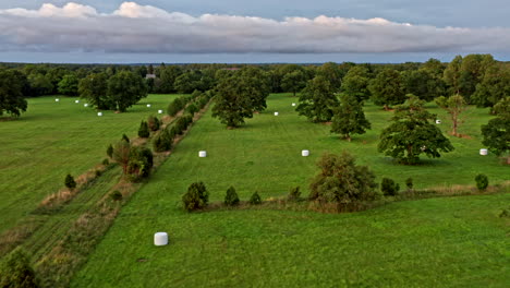 A-cloudy-sky-over-a-field-of-oak-trees