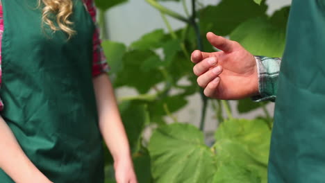 Close-up-on-gardeners-shaking-hands