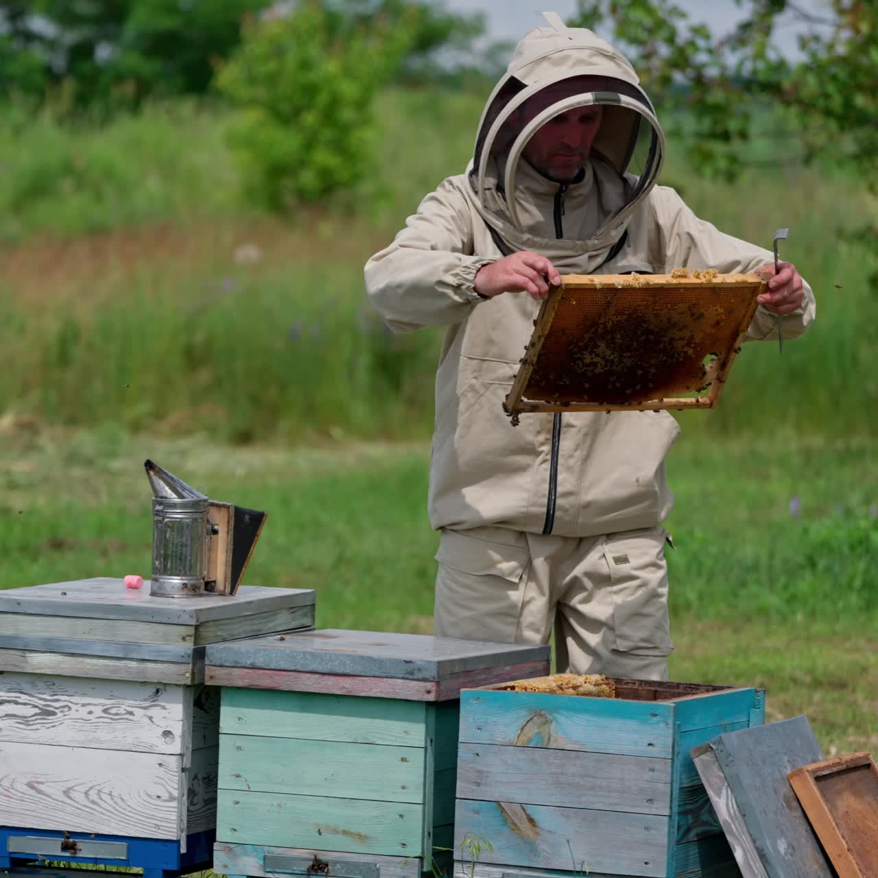 Man in protective beekeeping suit. Beekeeper protection concept