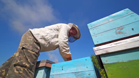 beekeeper looks into hive. apiarist working with bee frames against blue sky. beekeeping process. view from below.