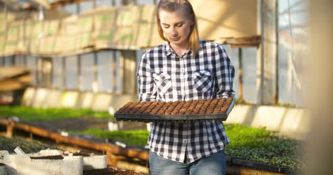 Young-Female-Botanist-Examining-Potted-Plant-18