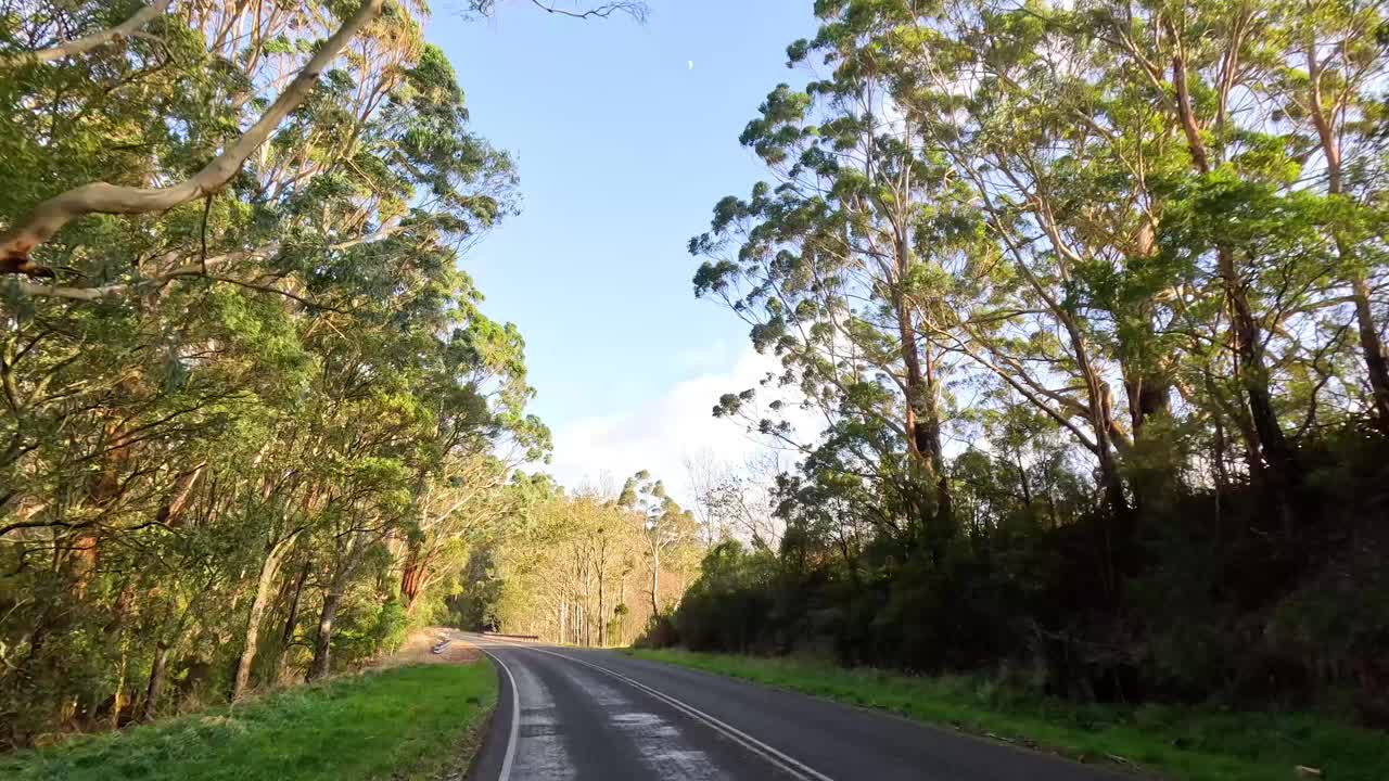 un pintoresco viaje a través de caminos boscosos y exuberantes