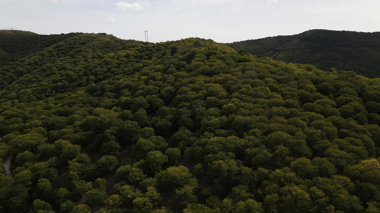 스페인 의 산 들 에 있는 울창 한 넓은 잎 나무 숲, 공중 사진