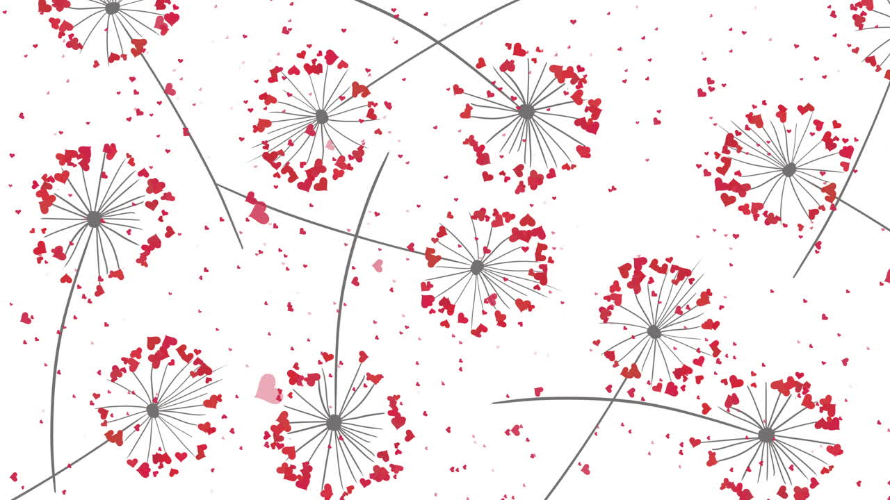 Hearts Dandelion seeds blowing in the wind on white background. Abstract loop animation.