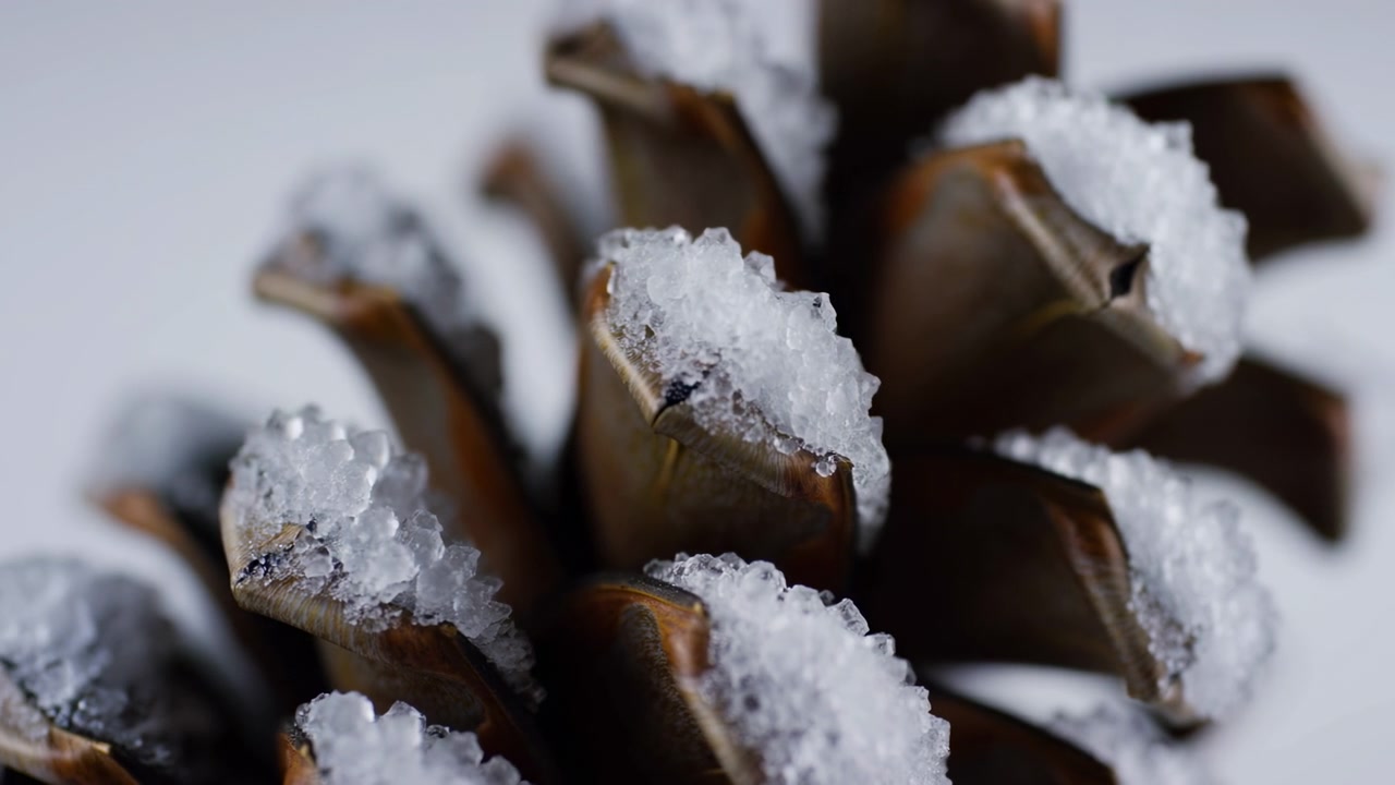 Vista macro de escamas de piña marrones en capas, rellenas de gránulos de hielo translúcidos y gruesos, mostrando una textura invernal táctil, luz difusa suave y un enfoque superficial a través de detalles rústicos naturales.