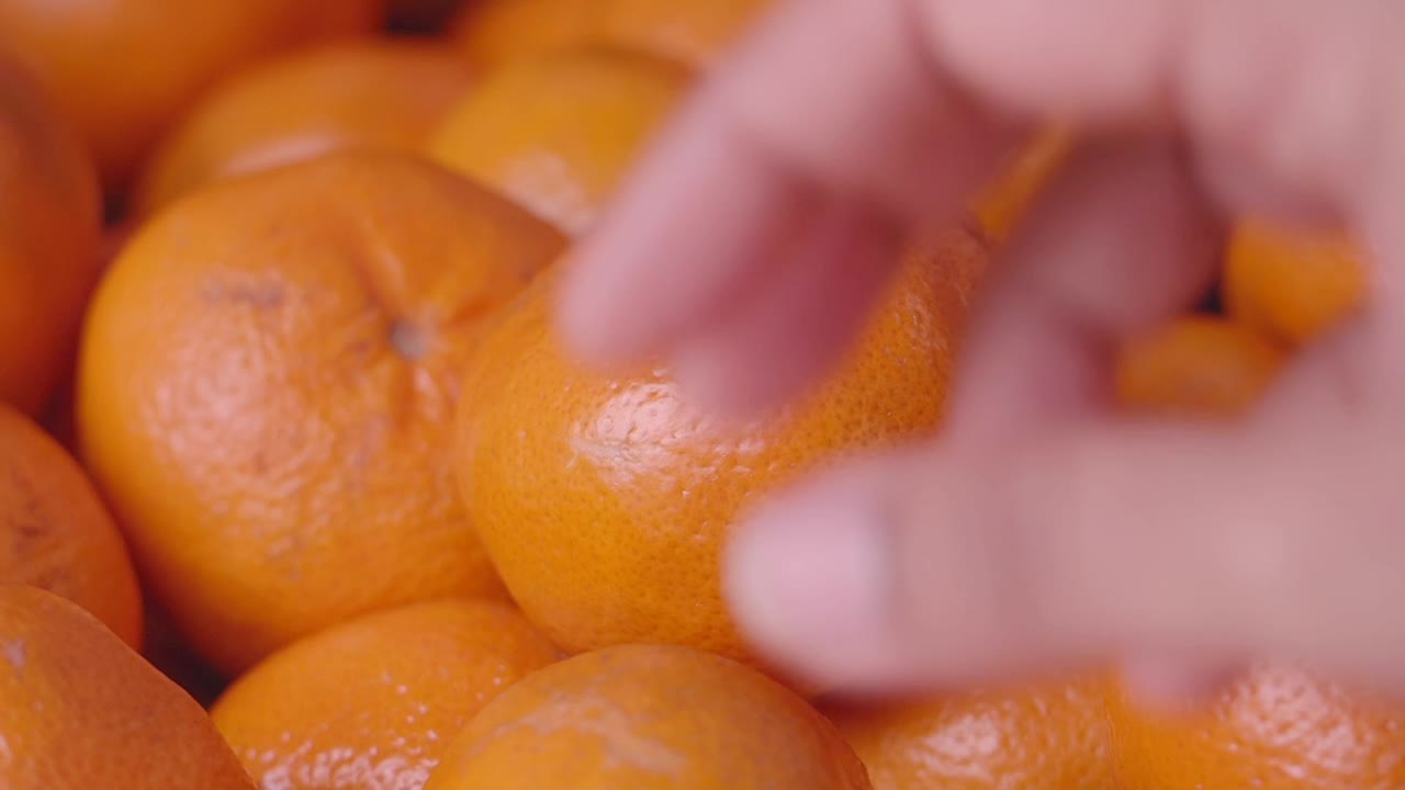 Close-up of Fresh Oranges and a Hand Selecting One