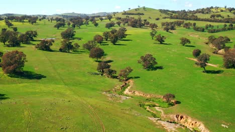 Sommerwetter-Auf-Der-Grünen-Wiese-Mit-üppigen-Wäldern-In-Australien