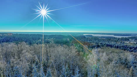 a beautifully radiant sun that glides past through a clear blue sky above a large forest