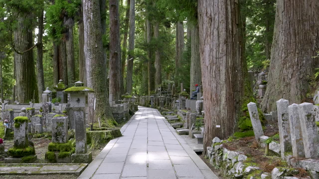 일본 의 코야산 에 있는 오쿠노인 묘지 는 울창 한 초록색 으로 가득 차 있다