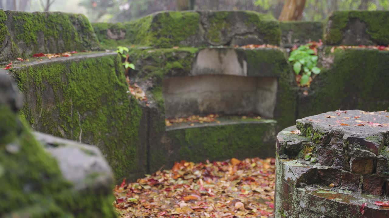 Mossy Ruins of Artillery Battery on Mt Mikata on Etajima Island, Hiroshima Japan