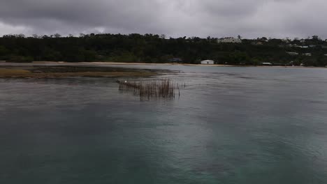 aerial view of a fish trap set up in a large tropical lagoon near a pacific island village