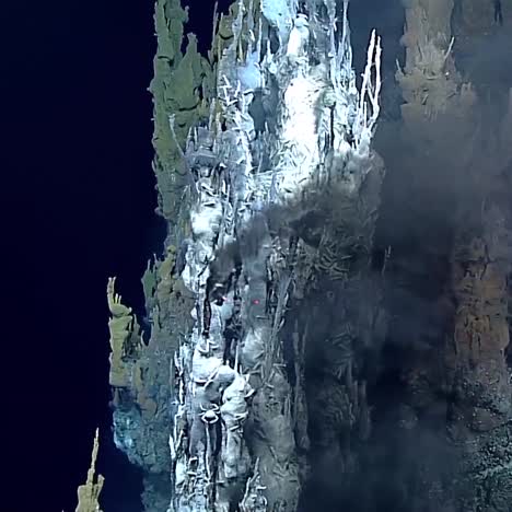 Hydrothermal-Vents-From-2016\'S-Deepwater-Exploration-Of-The-Marianas