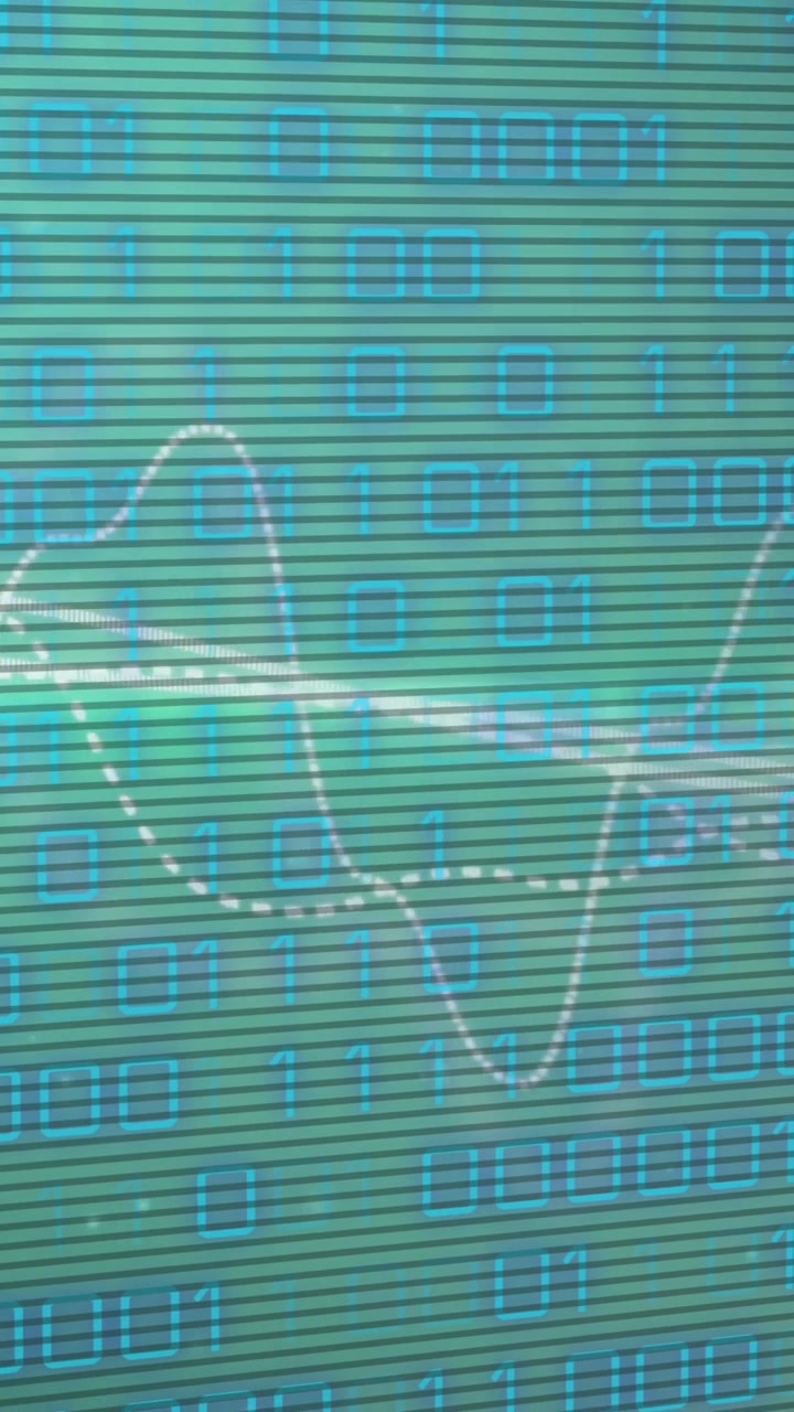 Animation of binary coding data processing over networks of connections