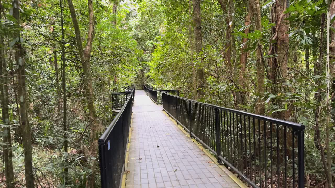 A serene boardwalk path through dense forest, highlighting vibrant greenery and informational signs under soft natural lighting