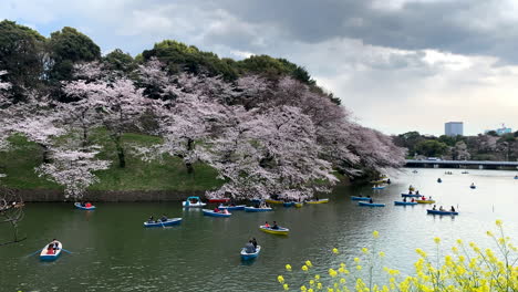 Rowboats-at-the-Imperial-Palace-moat